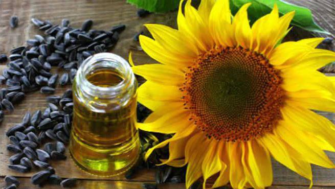 Сара Джей колледж кешінде трахметке түседі