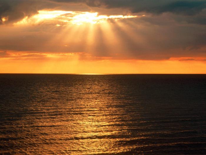 Yosh ayollar bilan etuk ayollarning haqiqiy pornosi Julia porno sahnalarda