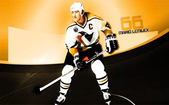 马里奥·勒米厄 - 加拿大曲棍球运动员. 传记