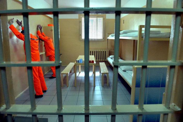 Qiz uchun oral seks (xususiy)