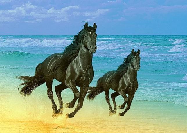 Жас қыздар порно камминг