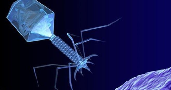 Qiz dostingiz bilan jinsiy aloqada boling