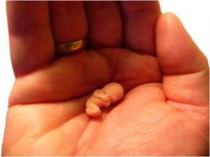 Orospu onalar porno videolar Filmlardagi eng seksual sahnalar