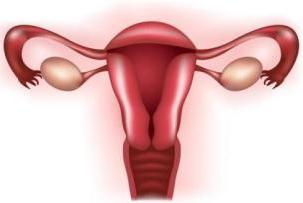 Жыныстық кештерді HD форматында көріңіз