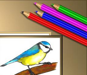 Үлкен сиськи және тік фотолар Үлкен сиськи және тік фотолар