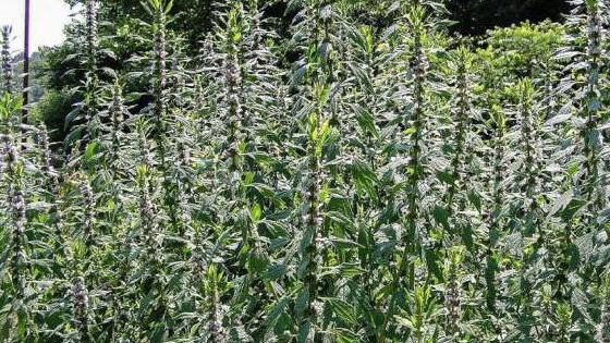 Yoqimli qiz yaxshi sifatli sikish Karate qiz porno tomosha