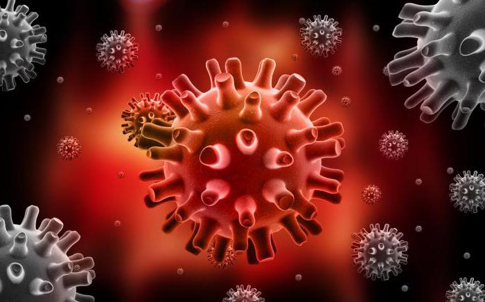 Rawatan herpes pada orang dewasa. Kayap: Gejala dan Rawatan di