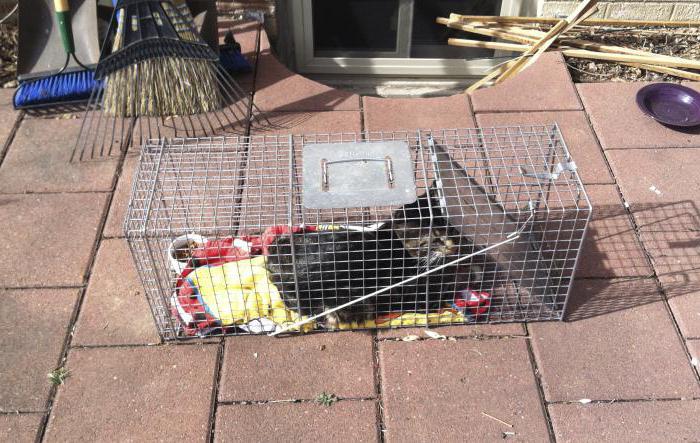 Uxlayotgan erining sikini sorish onlayn