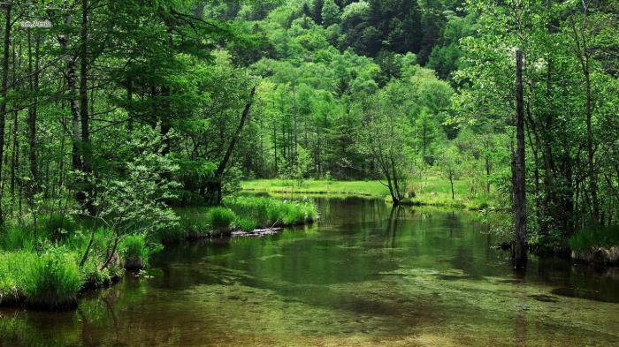 Төрт аяғында отырған жетілген әйелдердің порнофотосуреттері