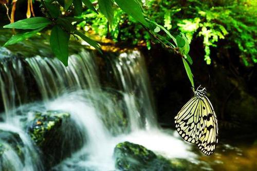 Студенттер жыныстық қатынас арқылы тест тапсырады