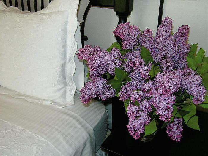 Lolilar porno videolar