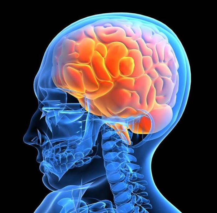 HD x арт бейне онлайн Мас секс орыс порно