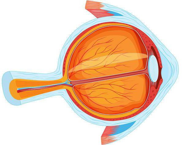 Теңіздегі секс порно hd