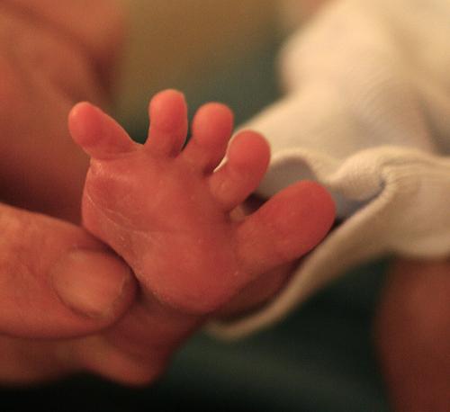 Sening eshakni qoziqqa qoziq jinsiy aloqa