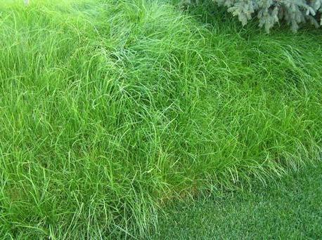 Әкесі мен қыздарының секс фильмі