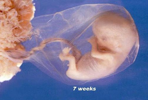 Lilyning ikki kishi tomonidan sikilgan pornosini tomosha qiling Qadimgi va etuk porno onlayn tomosha qiling