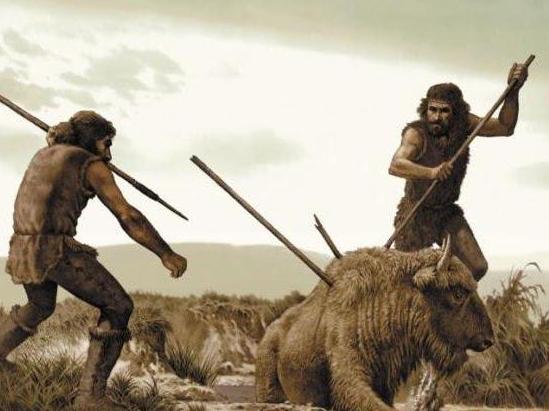 Оны досым тоқыды