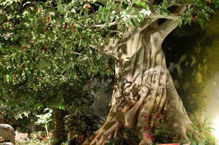 Garden Of Eden Adalah - Has The Garden Of Eden Been