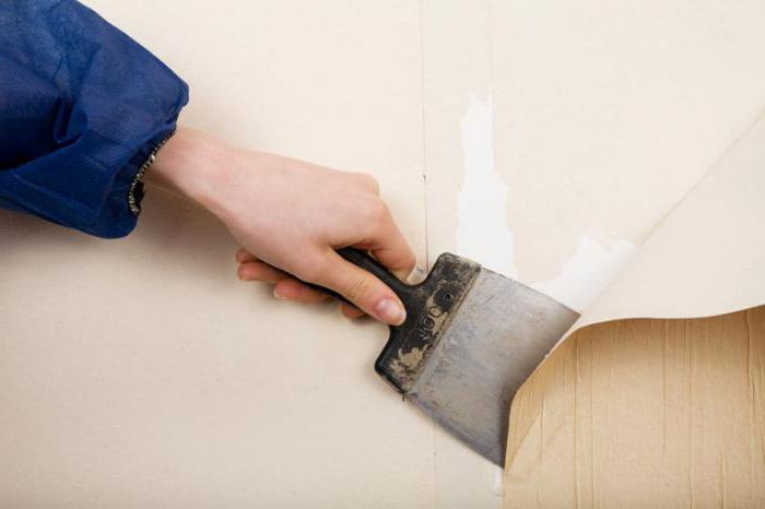 Как правильно подготовить стены к покраске