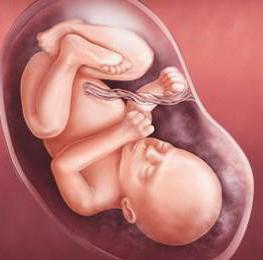 Катя Лидің Fabrika тобының интимдік суреттері Қыздың кискасының фотосуреттерін қараңыз