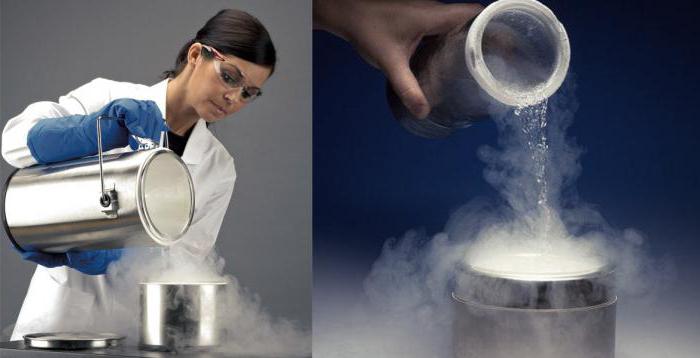 Jin ursin, katta-katta Amazonlar