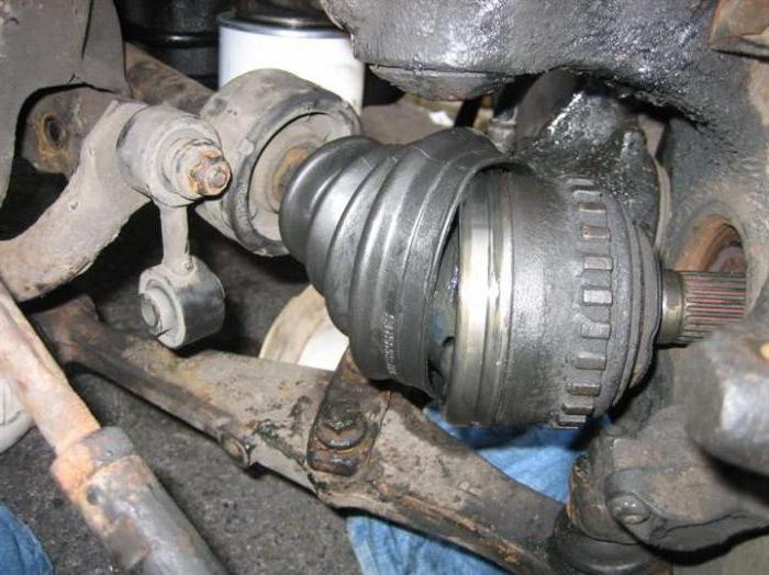 ngoài CV chung đó là