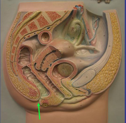 Barcha porno esha deol com Mast etuk xolaning onlayn pornosi