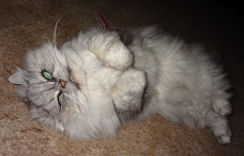 Қызғылт колготки порно фото