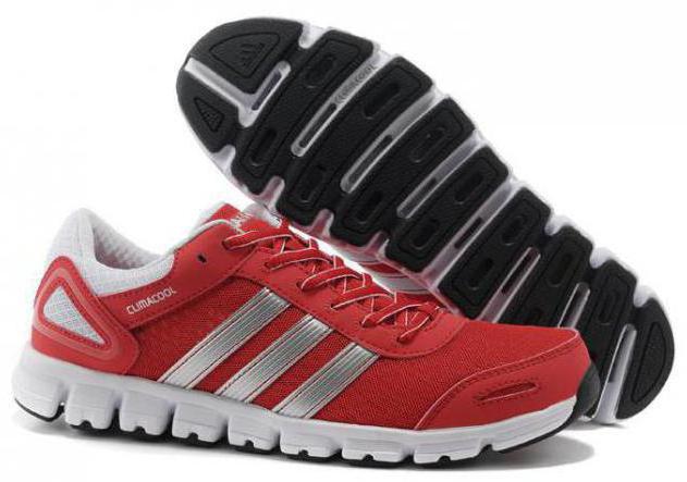 Kasut Adidas Merah Putih : We did not find results for: