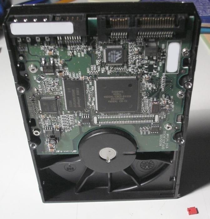 Көкіректі, қисық, кеуделі, жалаңаш әйелдер