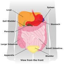 Желідегі секс порно кеші