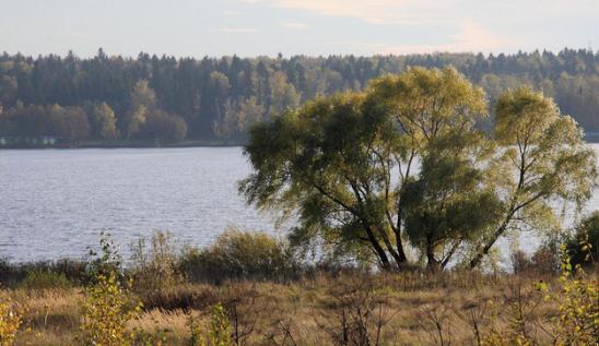 Porno pissing mushuklar Hojatxonada siyayotgan ayollarga qarash