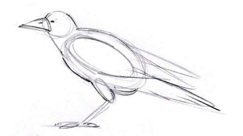 Bagaimana Untuk Menarik Gajah Dan Burung Lain