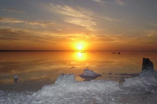 Eshak anatomiyasi: Evilanjel tomonidan anal jinsiy aloqa anatomiyasi Yalangoch farishta Kolbining fotosuratlari