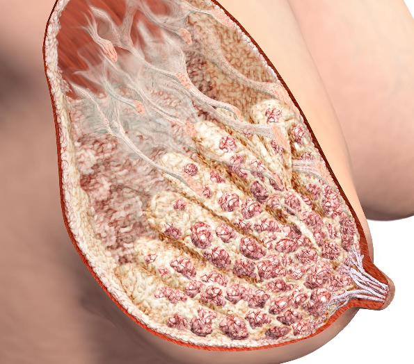 Боялған киіммен жалаңаш спортшылардың порнофотосуреттері