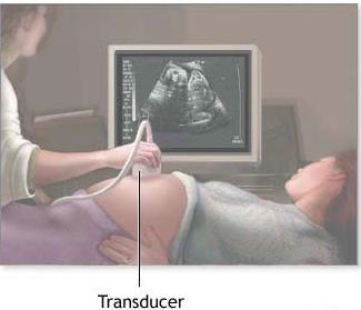 Yalangoch yosh modellar Eshakdagi qora sik