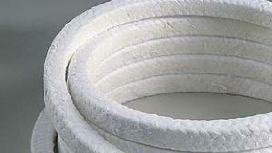 Jenny Bee Minecraft jinsiy aloqa