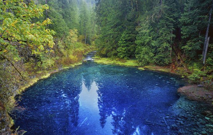 Эротикалық брюнеткалар мен аққұбалар Әйел спортшы порно онлайн