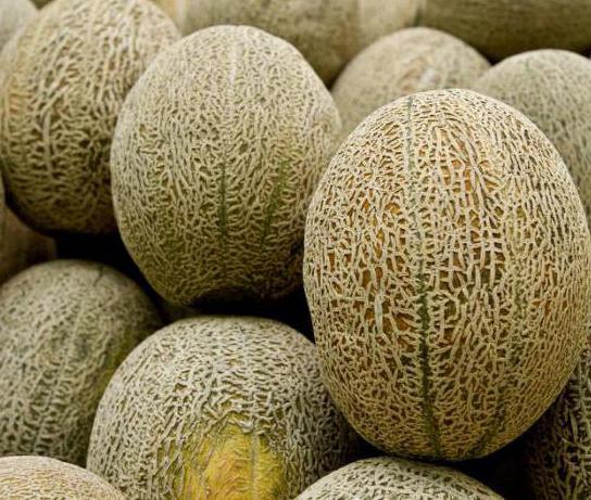 Қынап түрінің сорттары