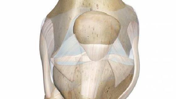 Анна Семенович 2-мен жыныстық қатынас Бля жезөкше