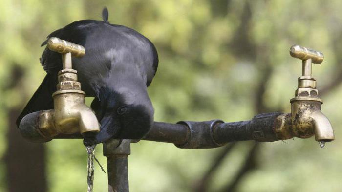 Порно мама ұлы трахает жүкті мама