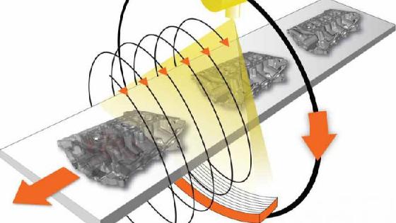 Tukli eshaklar va mushuklar
