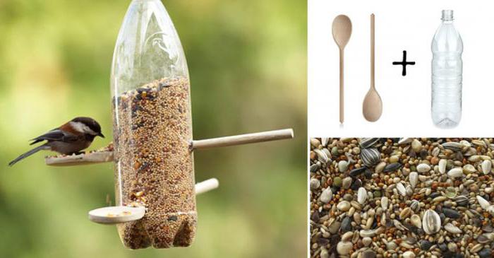 Төрт аяғында тұрған жалаңаш семіз әйелдер фото