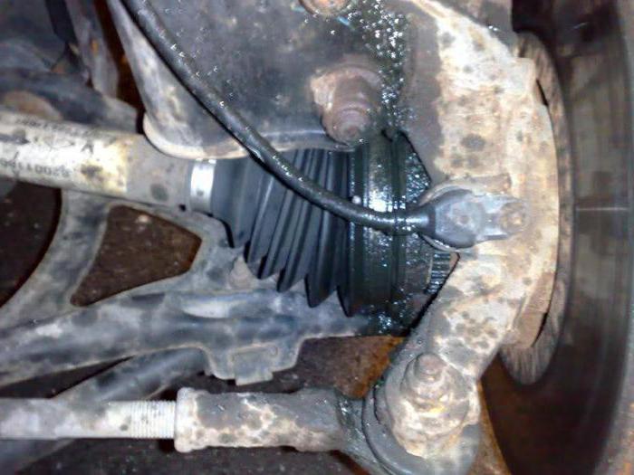 CV chung đó là mỡ