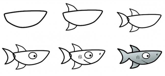 410 Koleksi Gambar Ikan Hiu Dengan Pensil Terbaru
