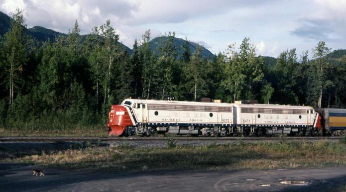 Jinsiy aloqa paytida zooki